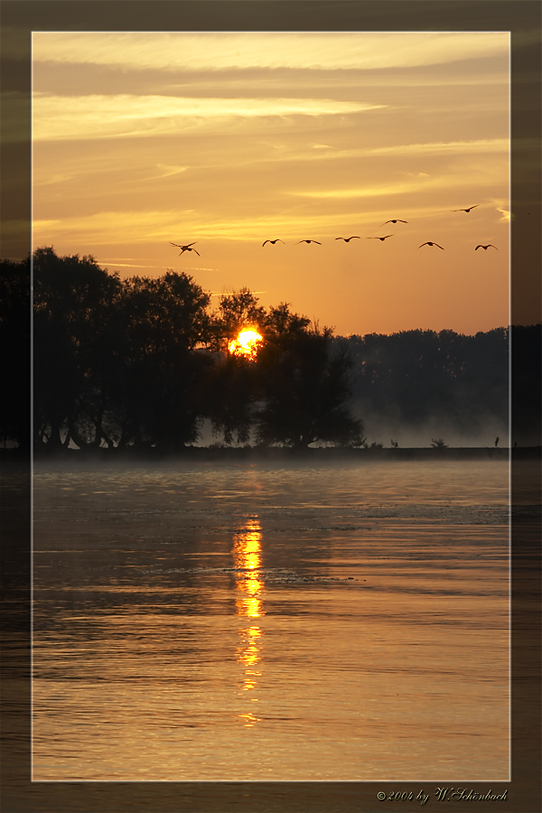 Der Sonne entgegen...