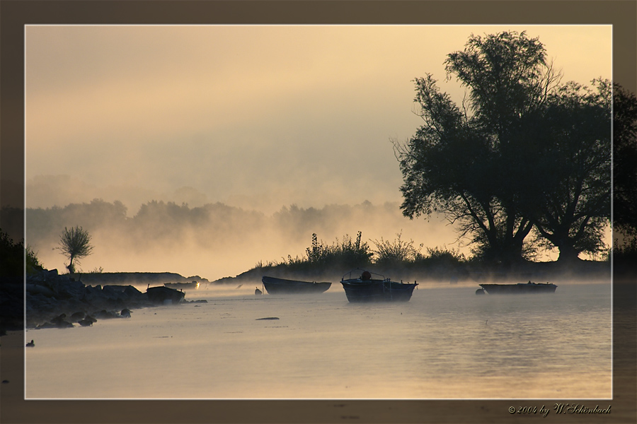 Morgennebel am Rhein